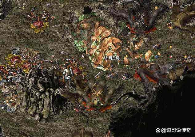 找私服神蛇之热血传奇怎么下单